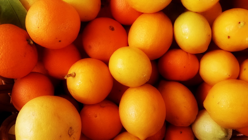 My Green Garden Preserves workshop